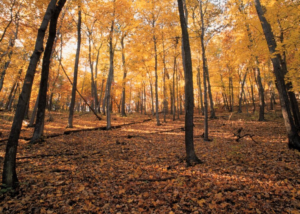 #1. Chesterbrook, Pennsylvania